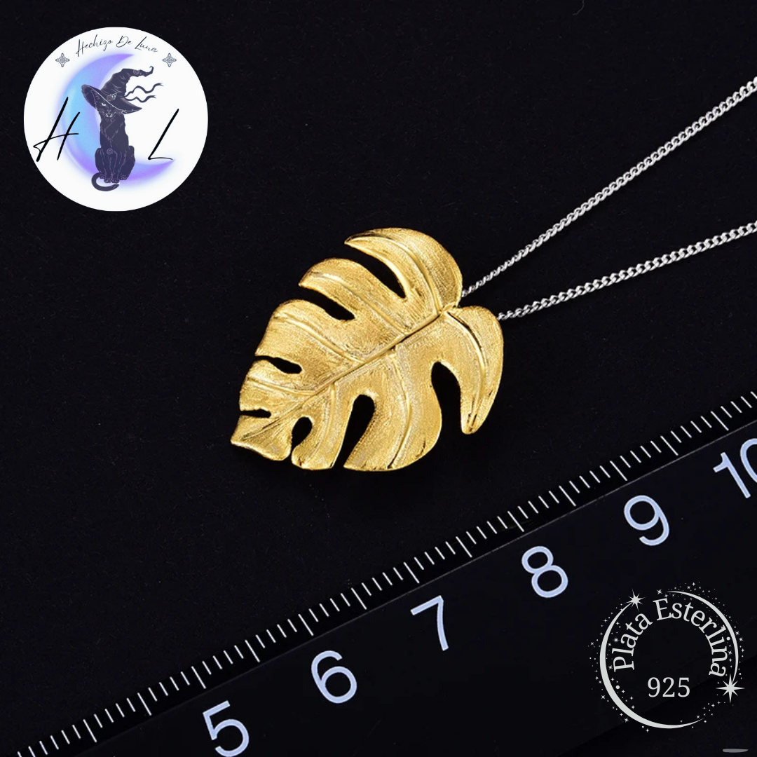 Collar De Plata, Diseño Monstera.