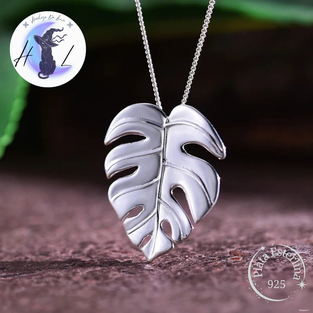 Collar De Plata, Diseño Monstera.