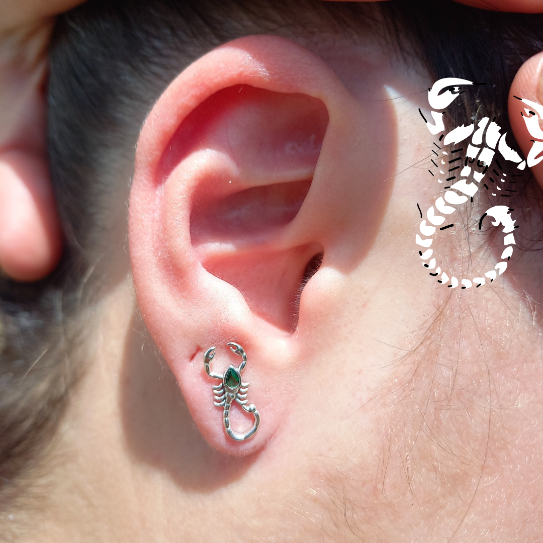 Aros de Escorpión de Plata 925 con Circón.