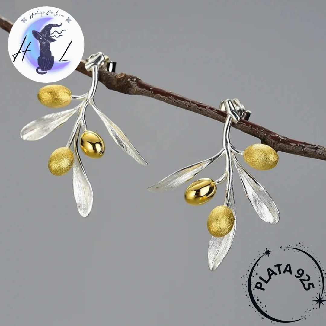 Aros Con Diseño Hojas Y Frutos de Olivo De Plata.