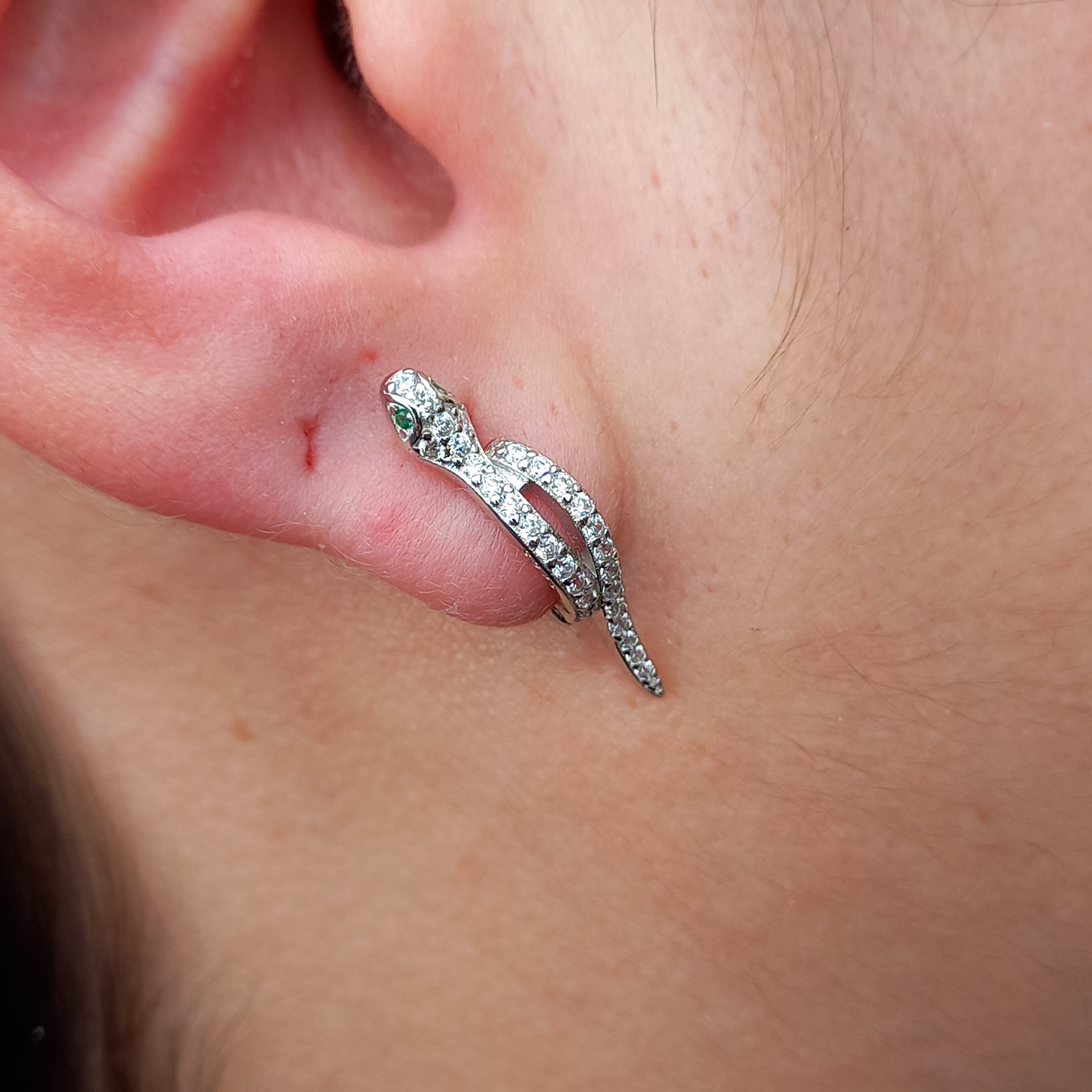 Aros de Serpiente con Circones de Plata.