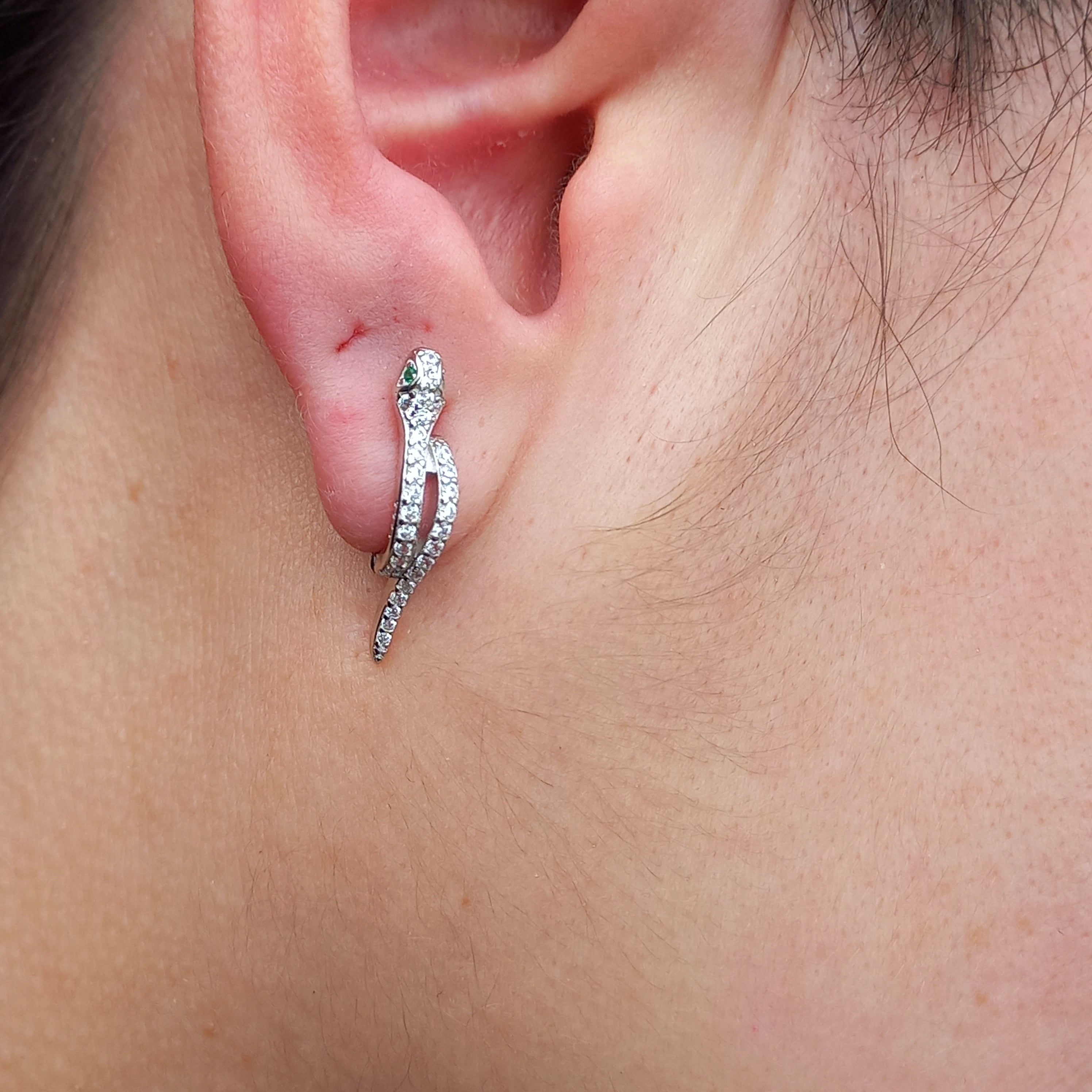 Aros de Serpiente con Circones de Plata.
