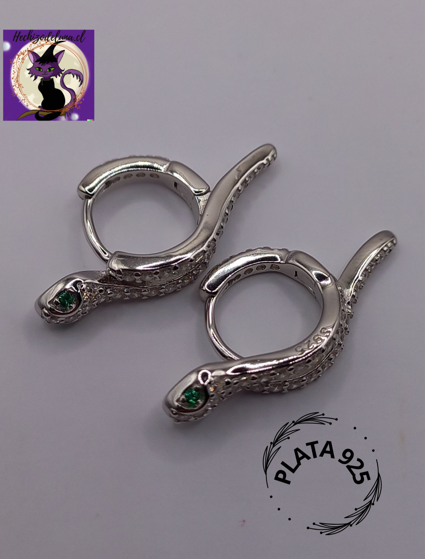 Aros de Serpiente con Circones de Plata.