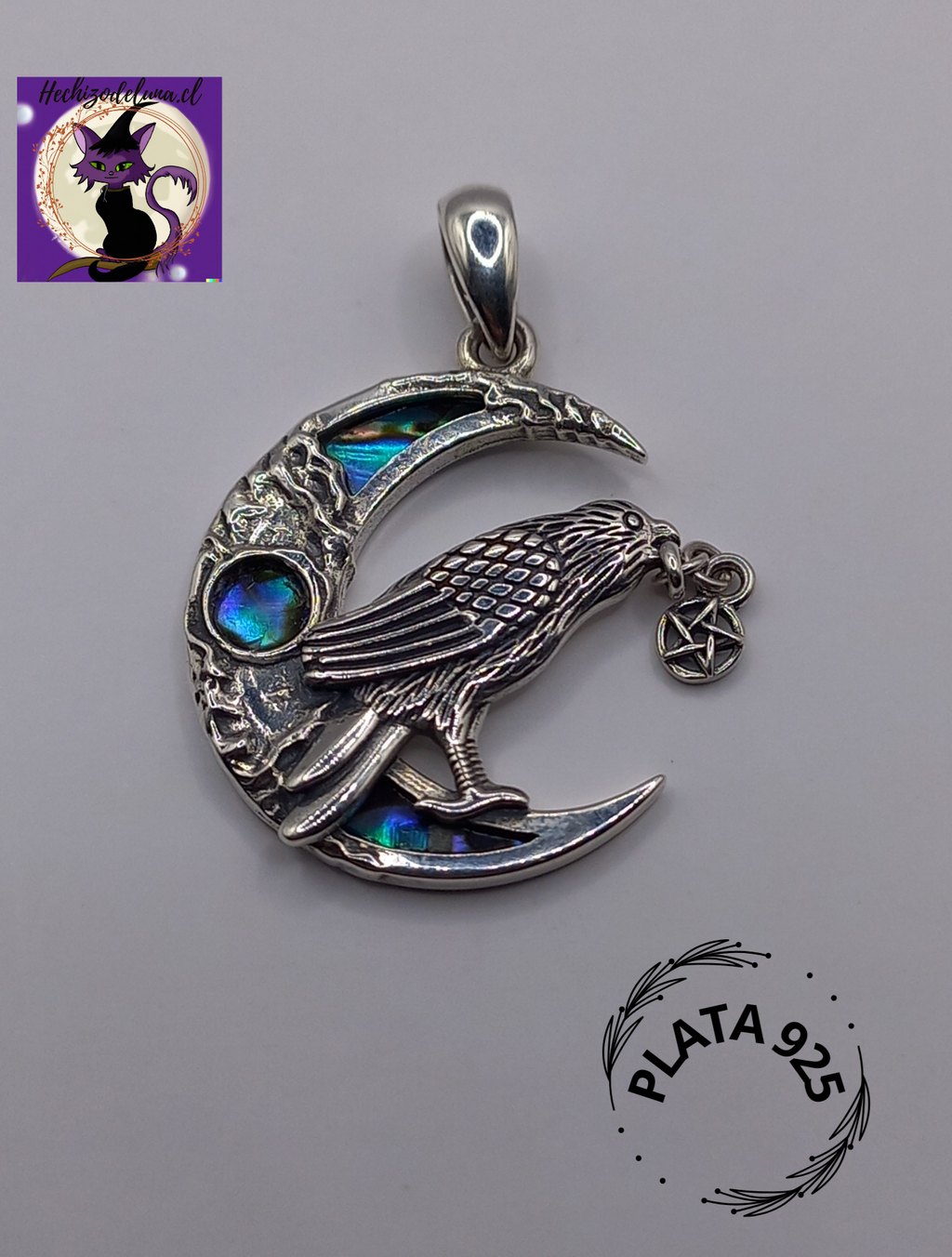 Colgante De Plata + Cadena Singapur 50cm. Cuervo De Odin "Huginn"