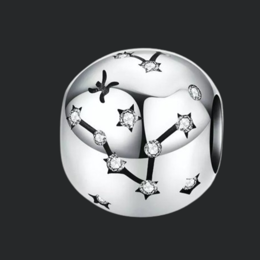 Charms con signos del Zodiaco de Plata.
