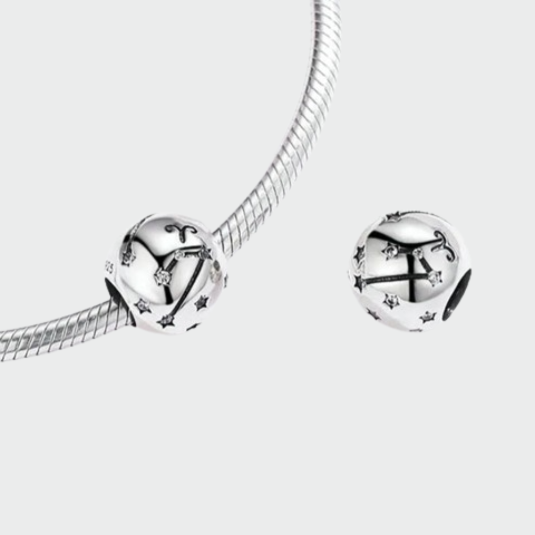 Charms con signos del Zodiaco de Plata.
