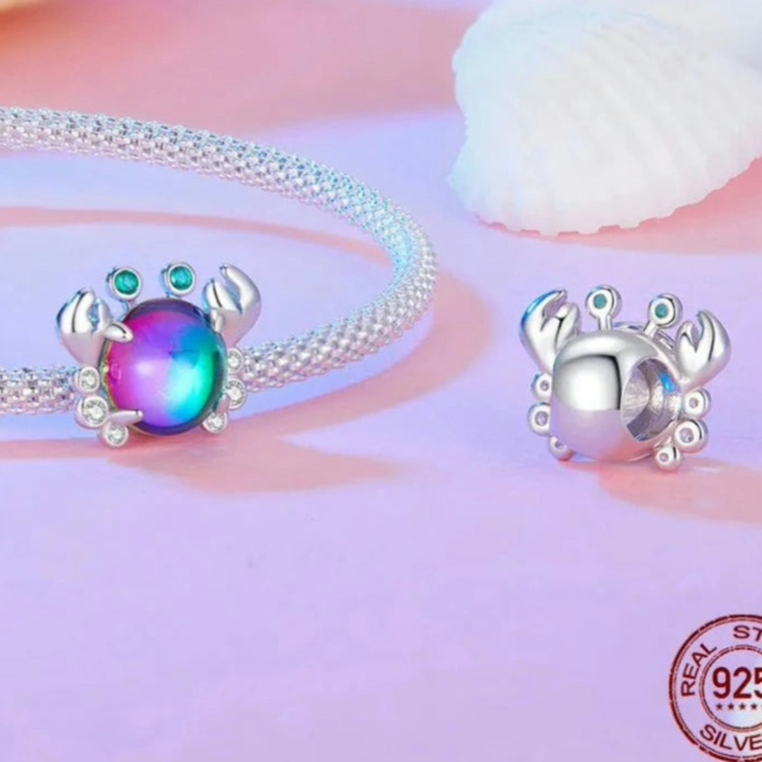 Charms Variados De Plata.