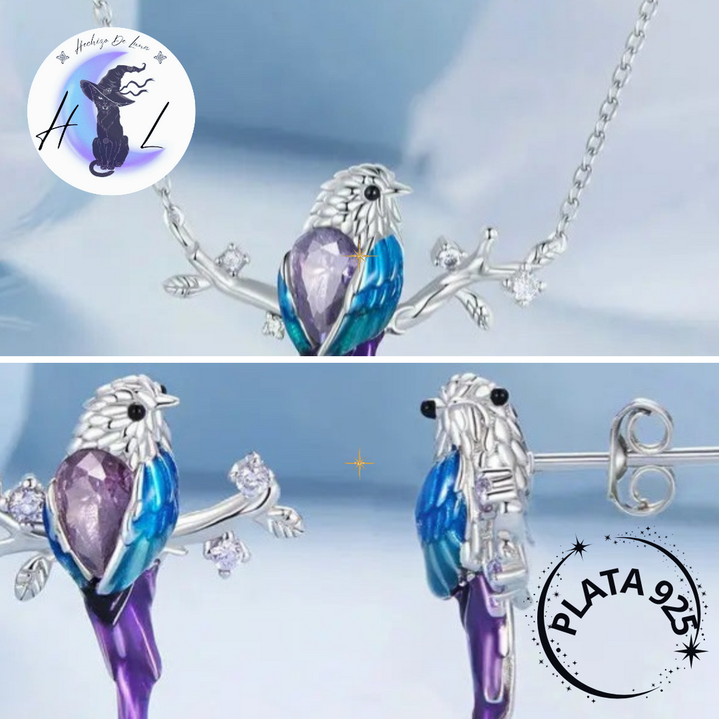 Conjunto De Plata Aros y Collar Ave De Colores.