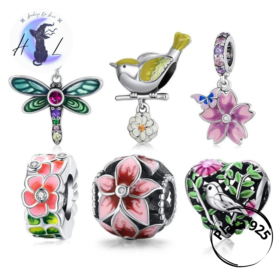 Charms De Plata, Variedad De Diseños.