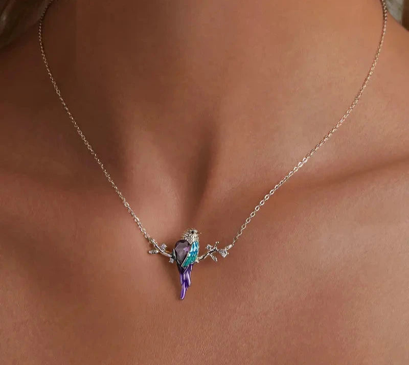Collar De Plata Ave De Colores.
