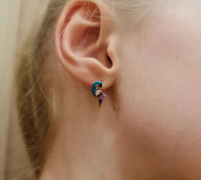 Aros De Plata, Esmalte Y Circón, Diseño Loro De Colores.