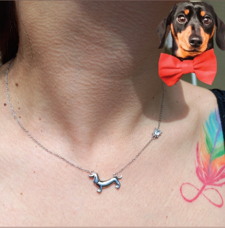 Collar Dachshund de Plata con Circonita.