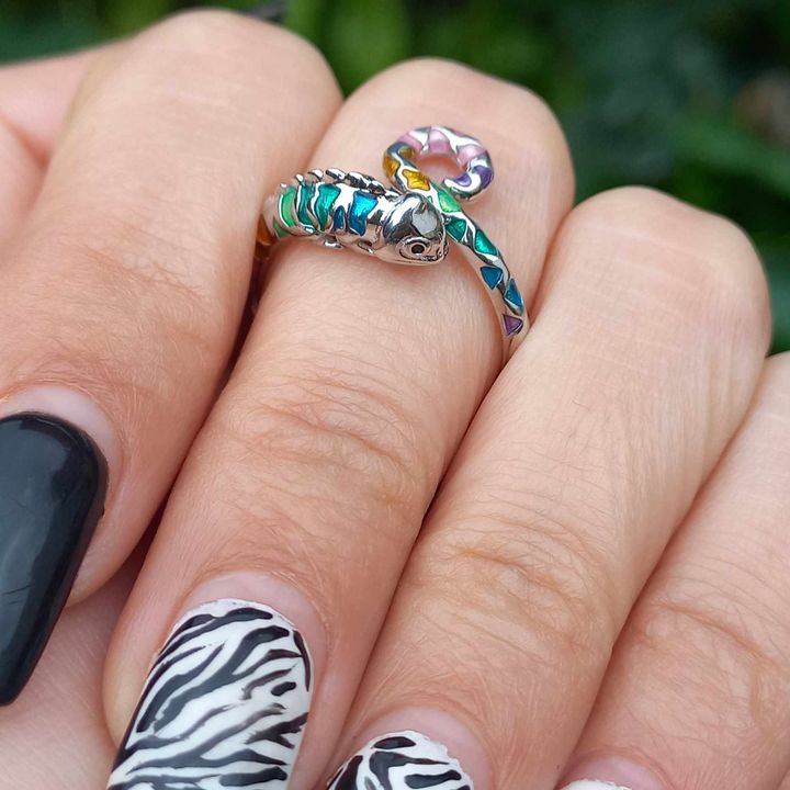 Conjunto Anillo Ajustable + Aros de Camaleón de Plata.