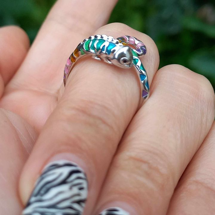 Conjunto Anillo Ajustable + Aros de Camaleón de Plata.