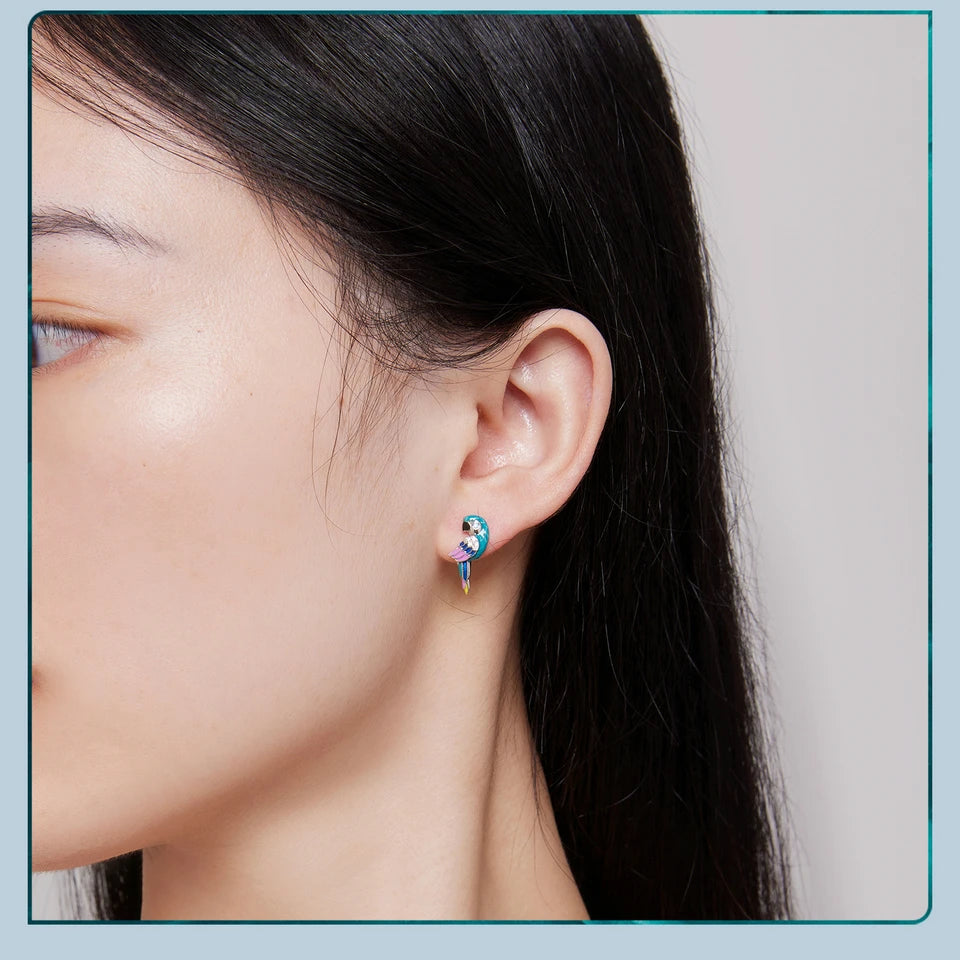 Aros De Plata, Esmalte Y Circón, Diseño Loro De Colores.