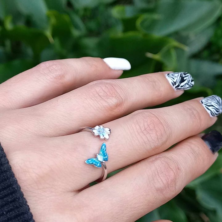 Conjunto Anillo Ajustable + Aros de Mariposa de Plata.
