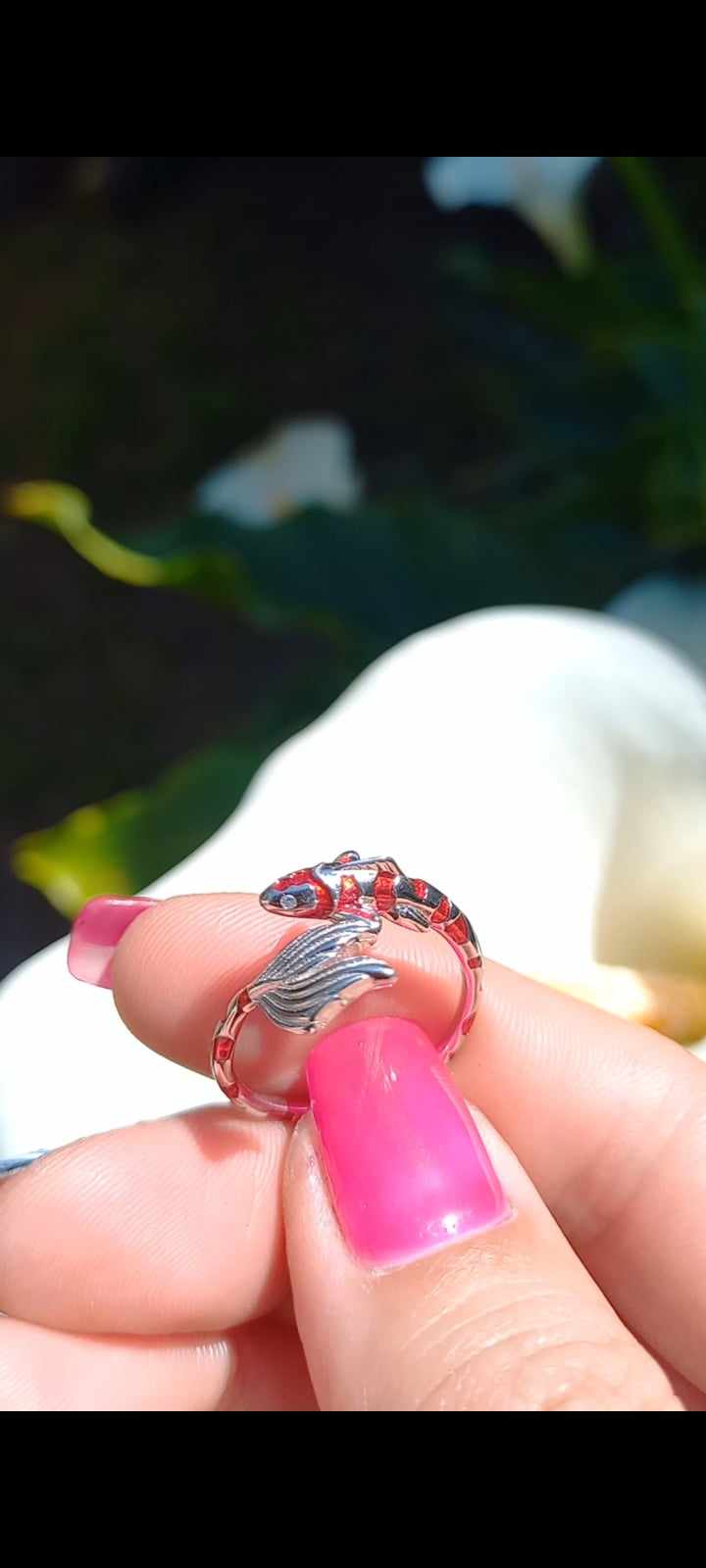 Conjunto Anillo Ajustable + Aros de Pez Koi de Plata.