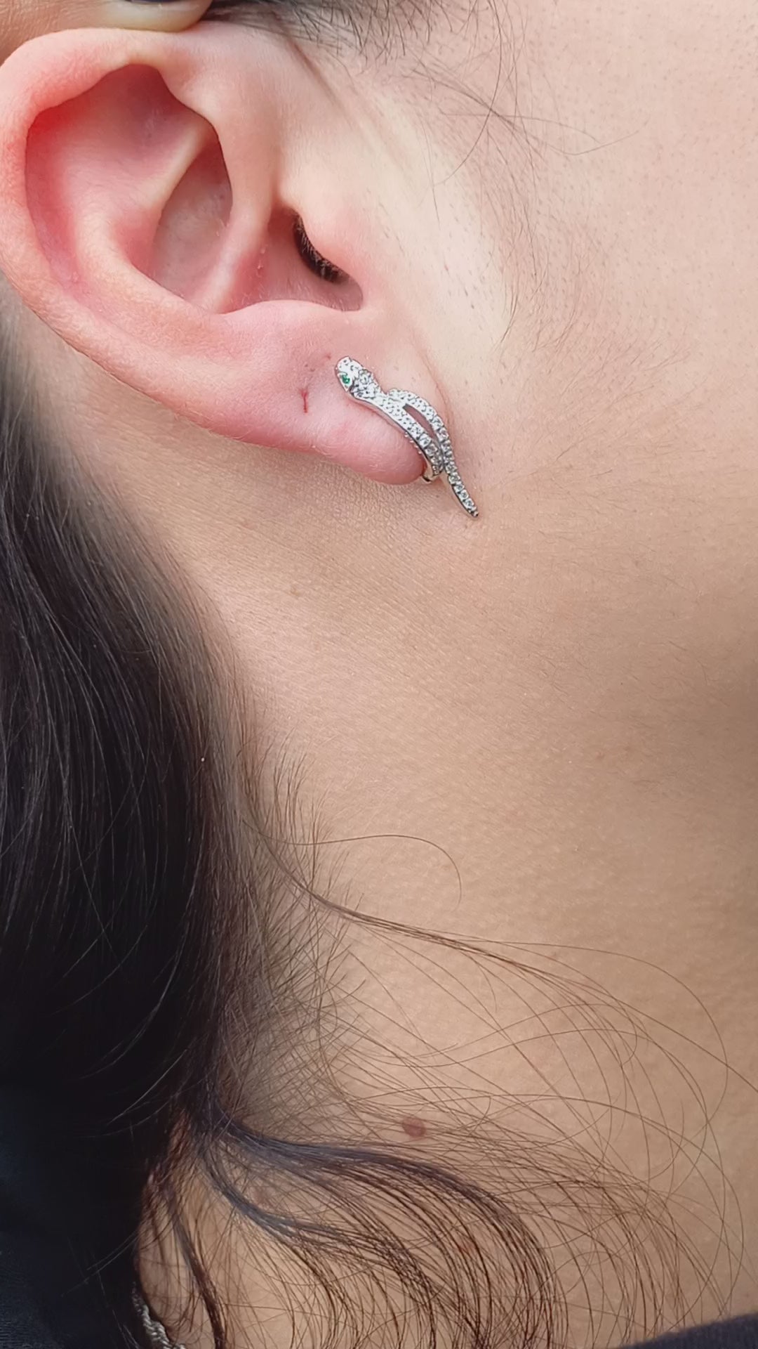 Aros de Serpiente con Circones de Plata.