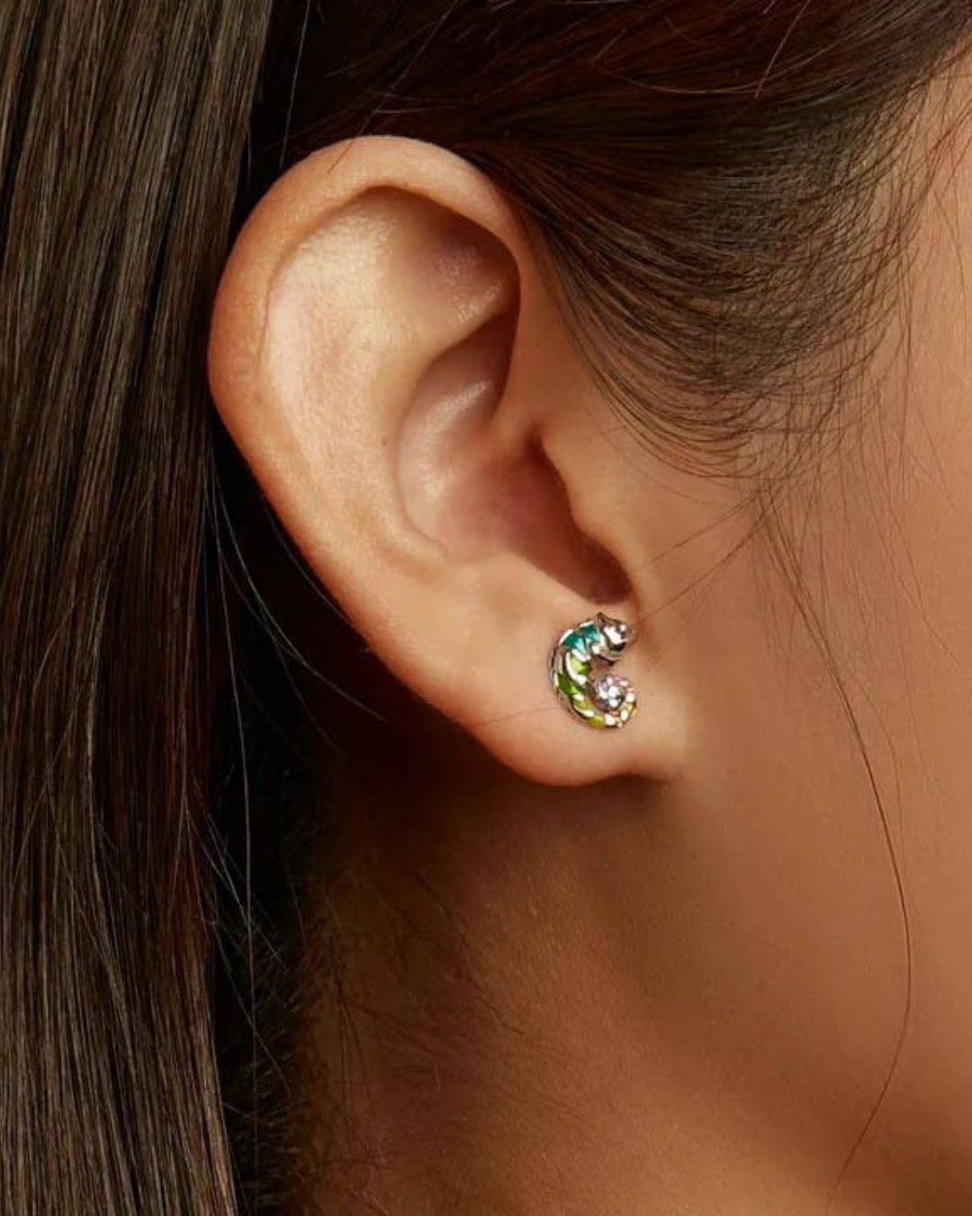 Conjunto Anillo Ajustable + Aros de Camaleón de Plata.