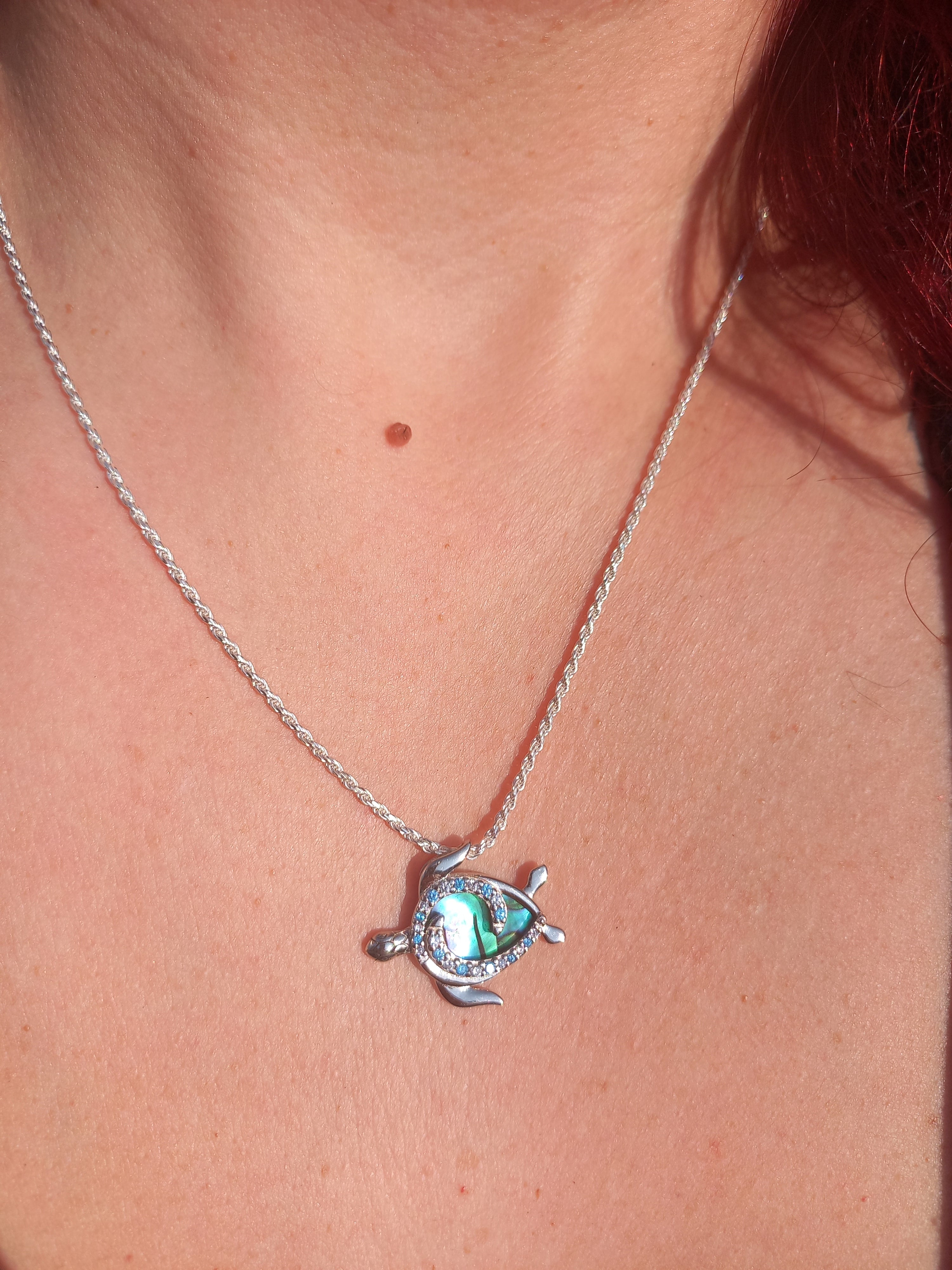 Colgante Tortuga con Cadena de Plata de 50 cm.