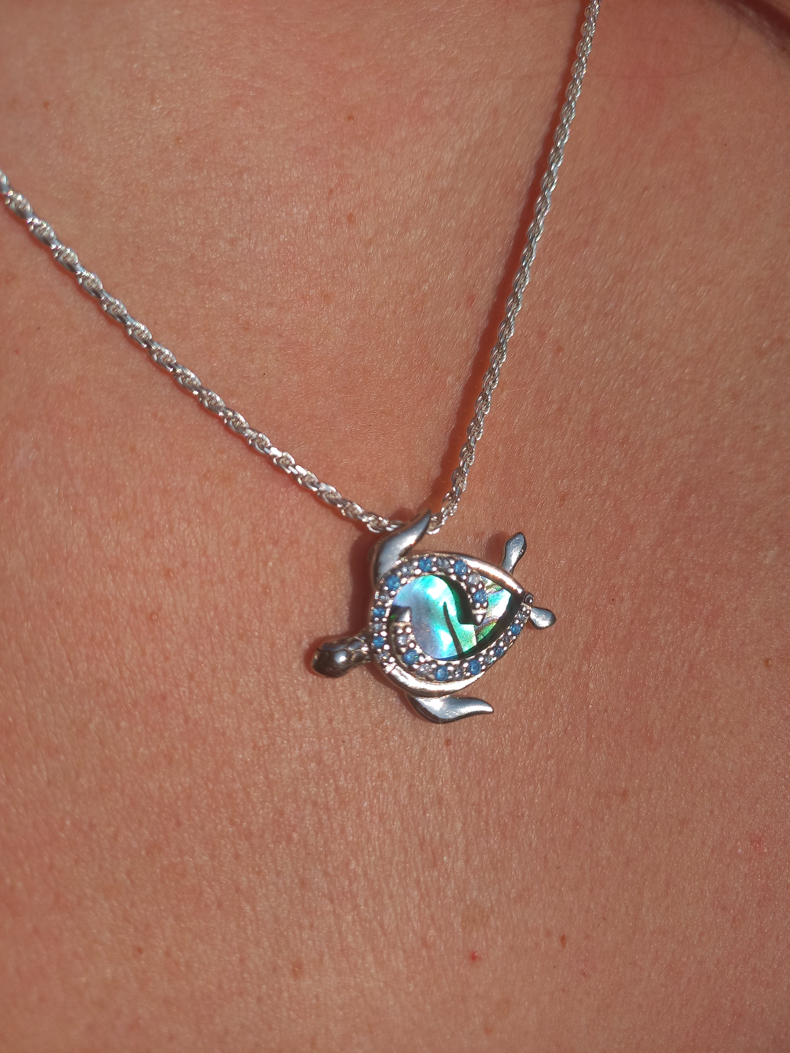 Colgante Tortuga con Cadena de Plata de 50 cm.