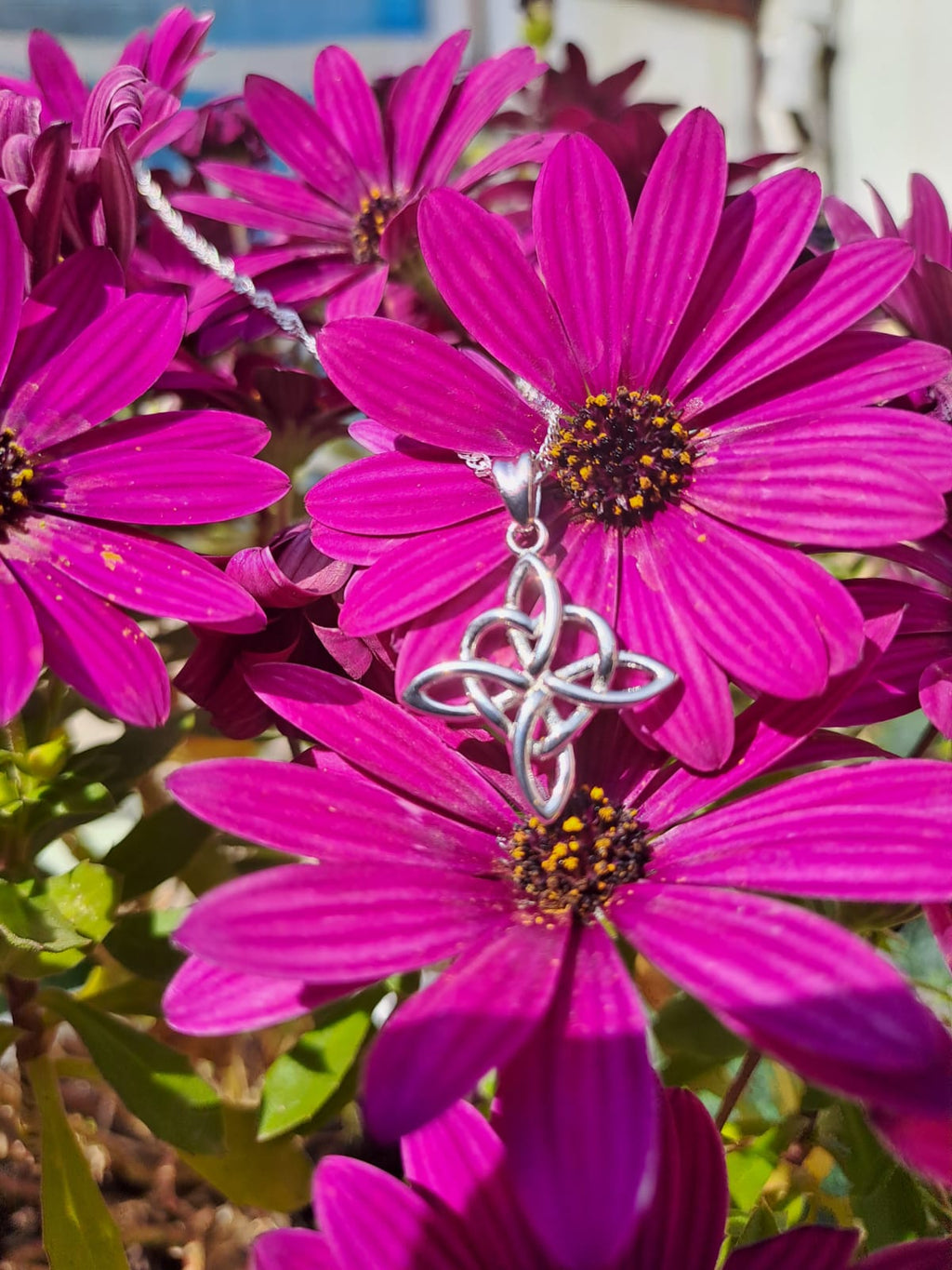 Colgante Nudo de Bruja Corazón con Cadena de Plata 50 cm.